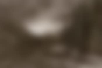 Early ploughman (preview)