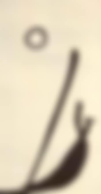 Composition (preview)