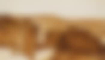 Les ruines (preview)