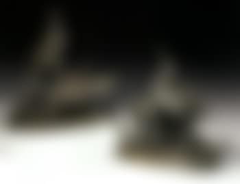 Pair of pheasants (preview)