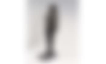 Venus de Villetaneuse (preview)