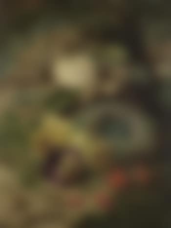 Still life of bird's nest and flowers on a mossy bank (preview)
