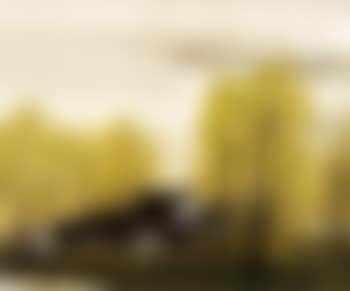 Houses in the wood (preview)