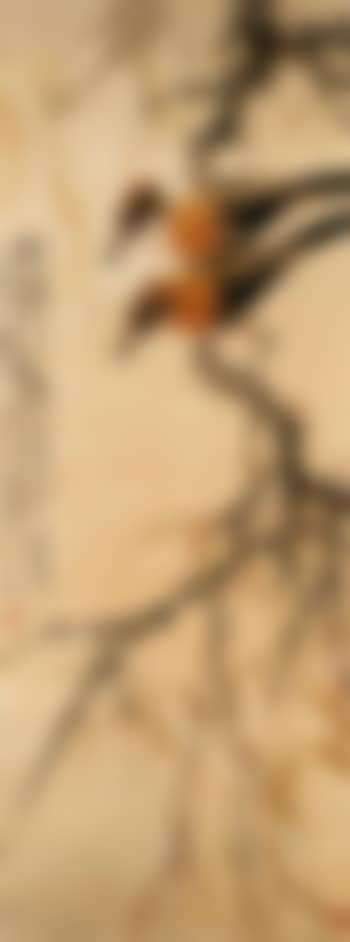 Birds on a willow tree (preview)