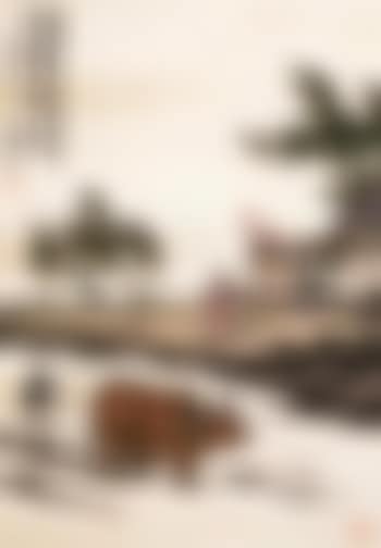 Returning home (preview)