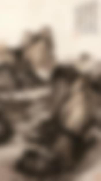 Mount Pingfeng (preview)