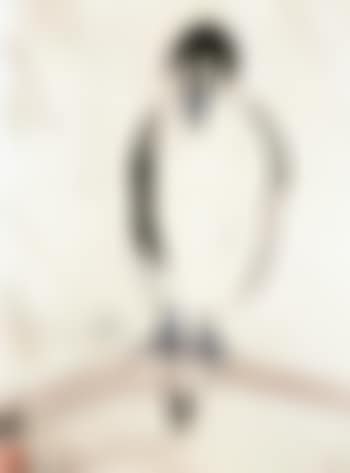 Bird (preview)