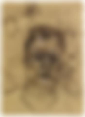 Self portrait (preview)