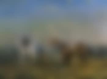 Early morning on the Manton Downs (preview)