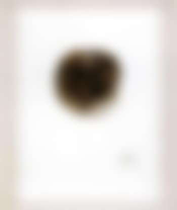 Autoportrait Calcine (preview)