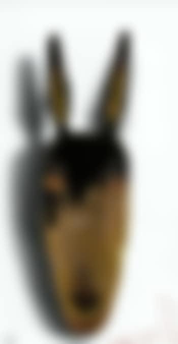 Doberman (preview)