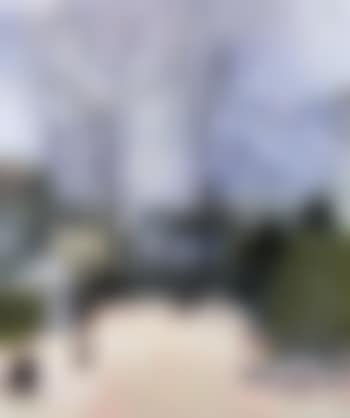 Winter landscape - backyard (preview)