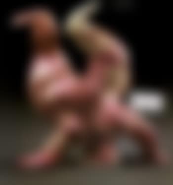 Nana (preview)