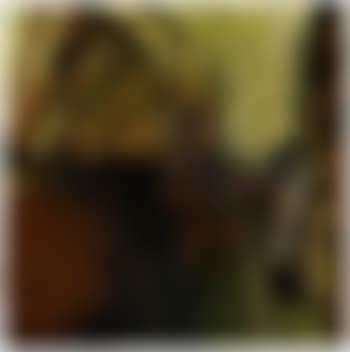 From the studio (preview)