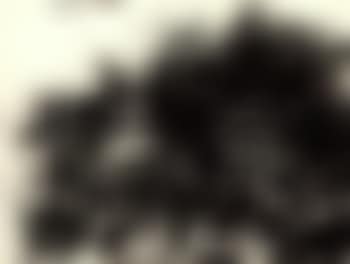 Drawing (preview)