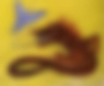 Untitled - Dragon Rouge et Papillon (preview)