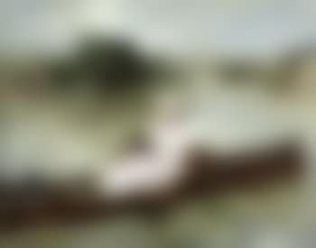 Promenade en bateau (preview)