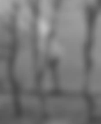 Landscape near Hamborn (preview)