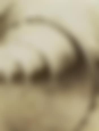 Seashell abstraction (preview)