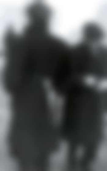 Tulip/Paris (preview)