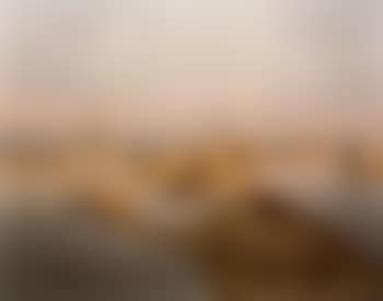 Salton sea, slide (preview)