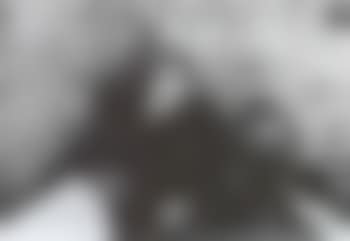 Allen Ginsberg (preview)