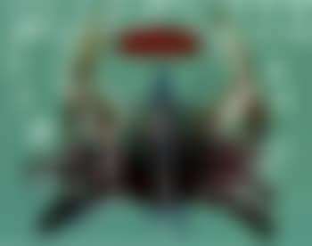 Crab by Jean-Michel Basquiat (preview)