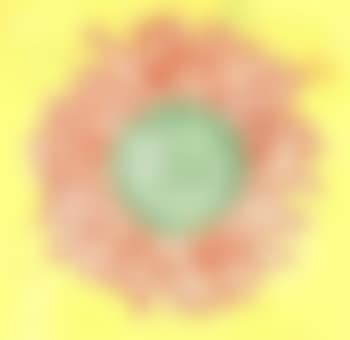 Sunflower (preview)