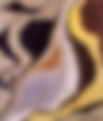 Onion (preview)