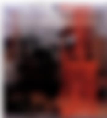 Braggard, shiner (preview)