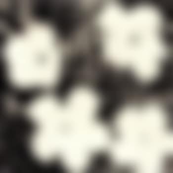 Flowers (preview)