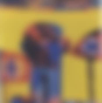 Boy between banners (preview)