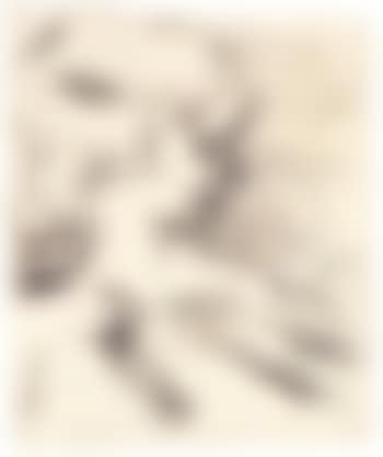 E.O.W looking into fire II (preview)