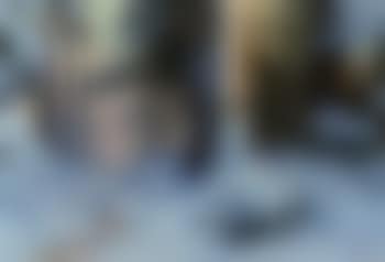 Winter woodland scene (preview)