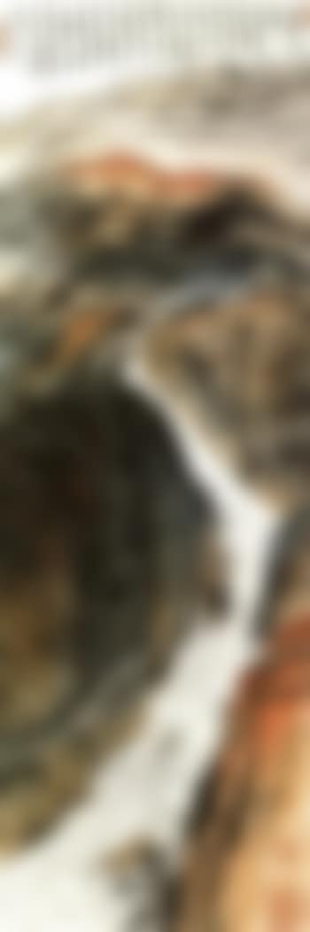 Qutang gorge (preview)