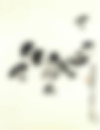 Mushroom (preview)