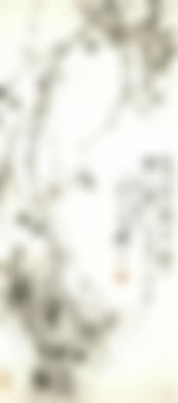 Pine branches (preview)