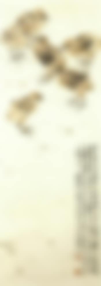 Brood (preview)