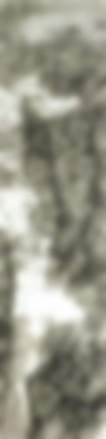 Misty gorge (preview)
