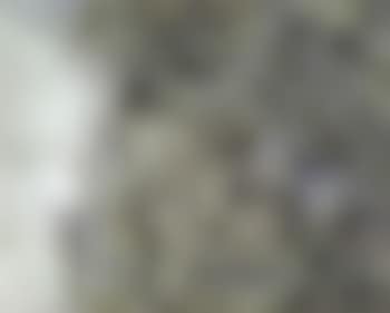 Paysage a St Idesbald (preview)