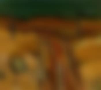 Spain (preview)
