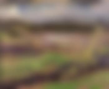 Castle River, Alberta (preview)