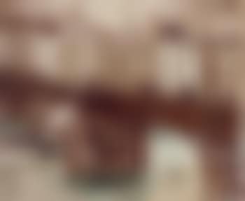 Wooden bridge on the Seine (preview)