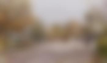 Dans le parc. Promenade dans le parc, Paris (preview)