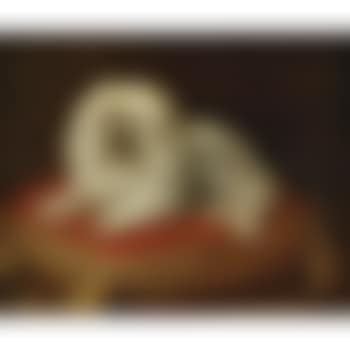 Portrait of a dog seated on a pillow (preview)