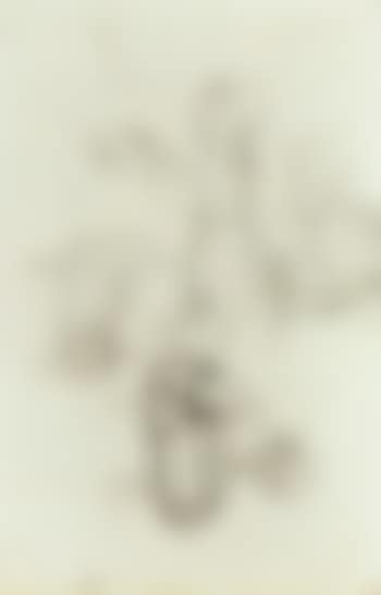 Mutter mit kind (preview)