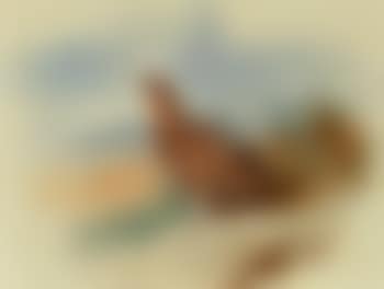 Sentinel (preview)