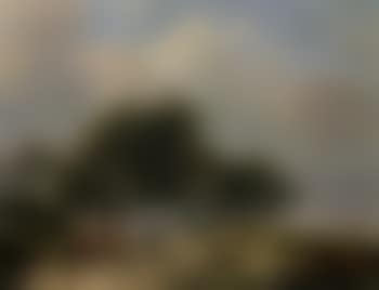 Herdsman with his cattle on a path (preview)