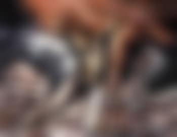 Prometeo (preview)