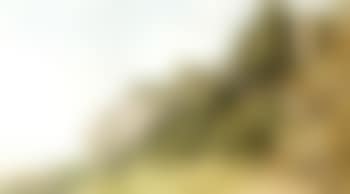 On the Warren near Dawlish, Devon (preview)